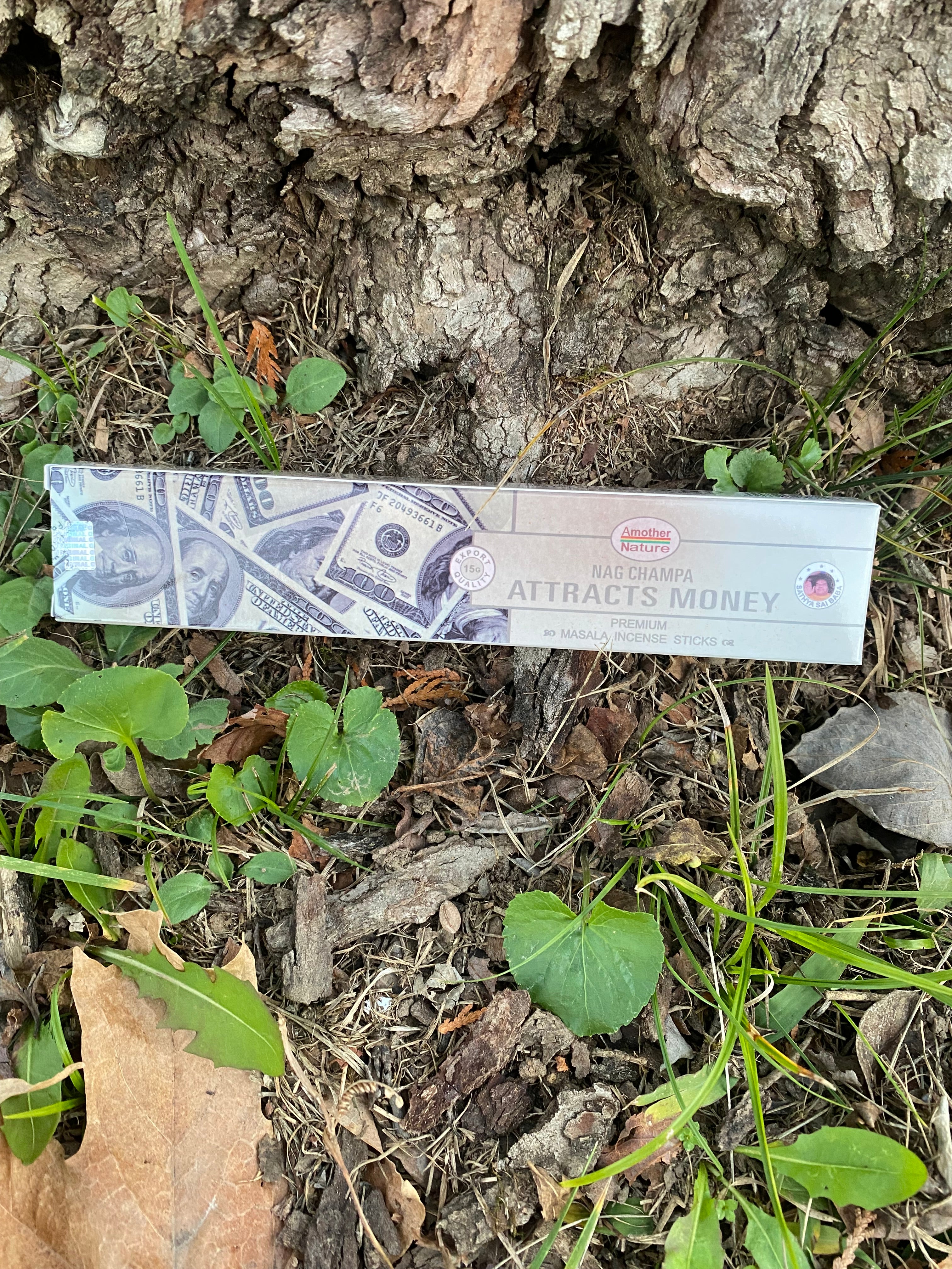 12 Money Attraction incense